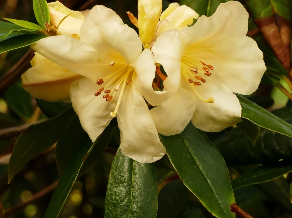 'Winter Sun'